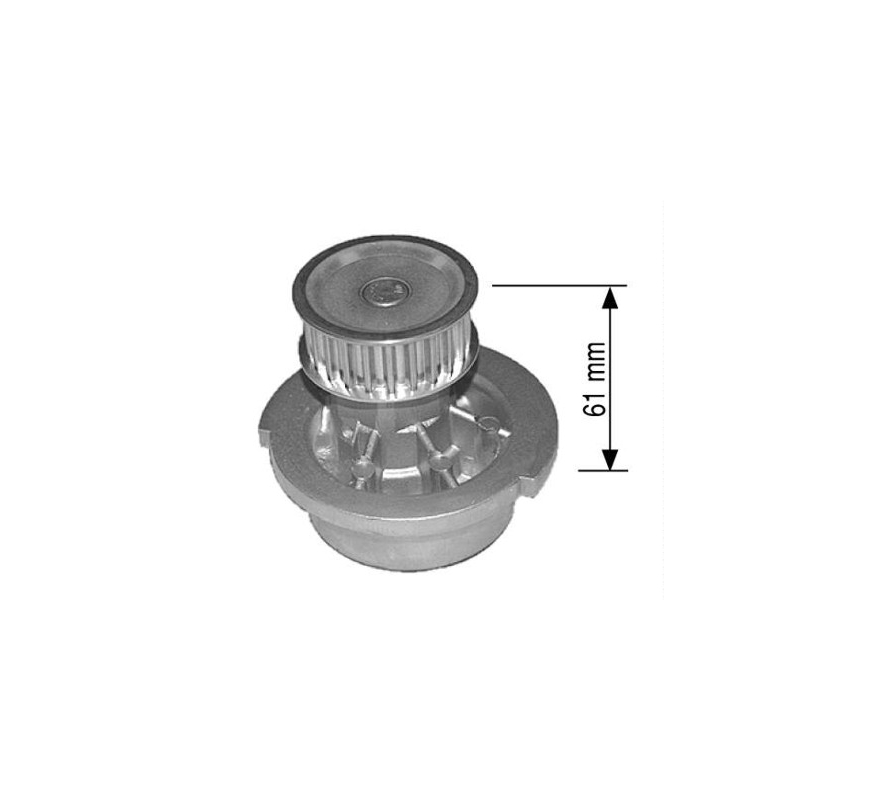 Pompe à eau | AIRTEX