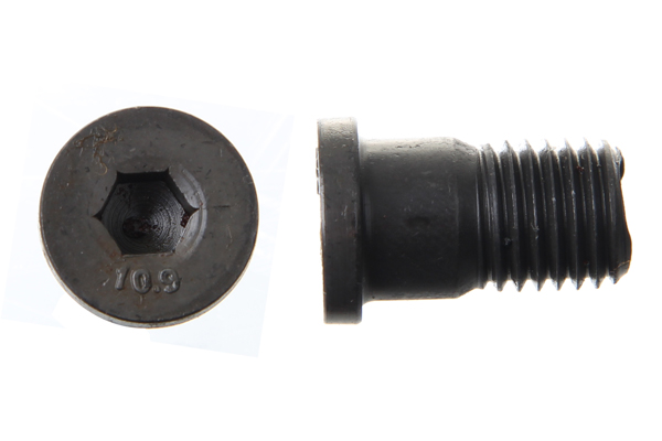 Vis, disque de frein | NK