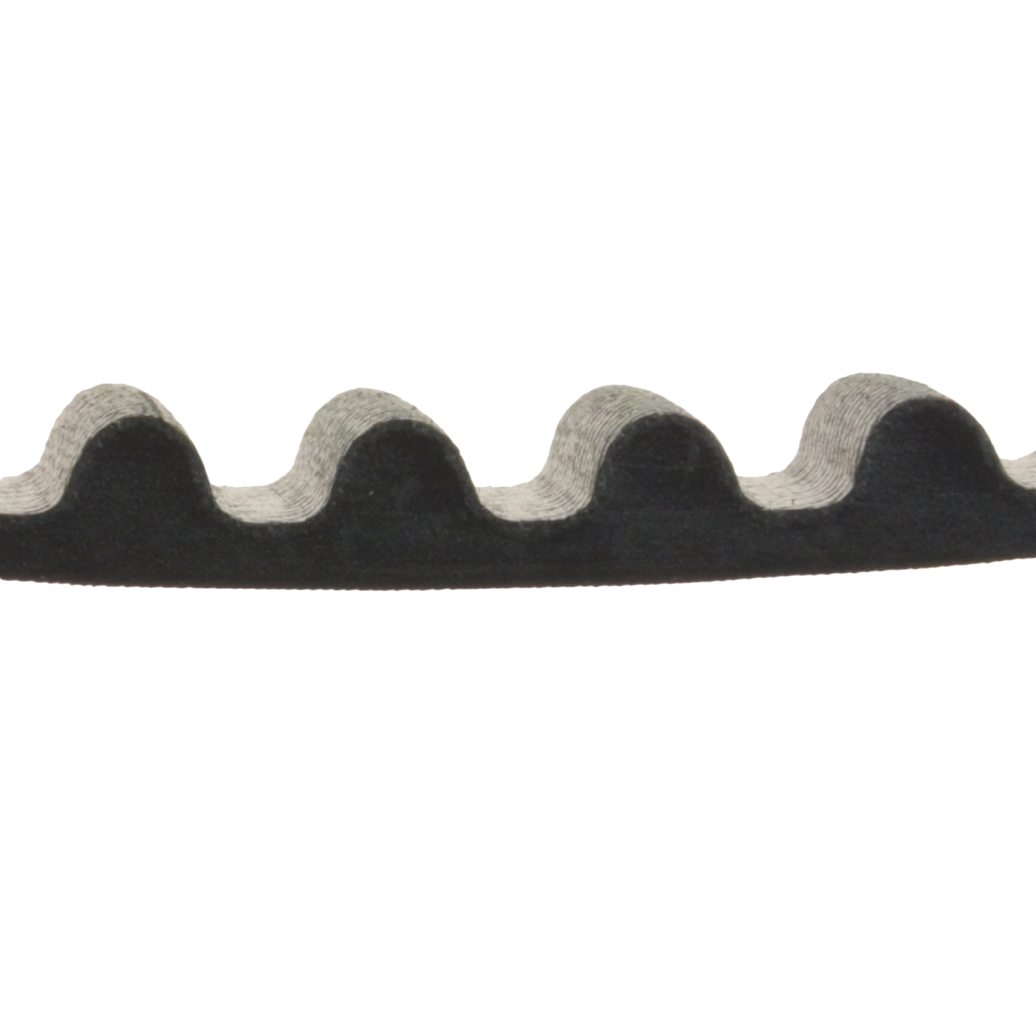 Courroie de distribution | BLUE PRINT