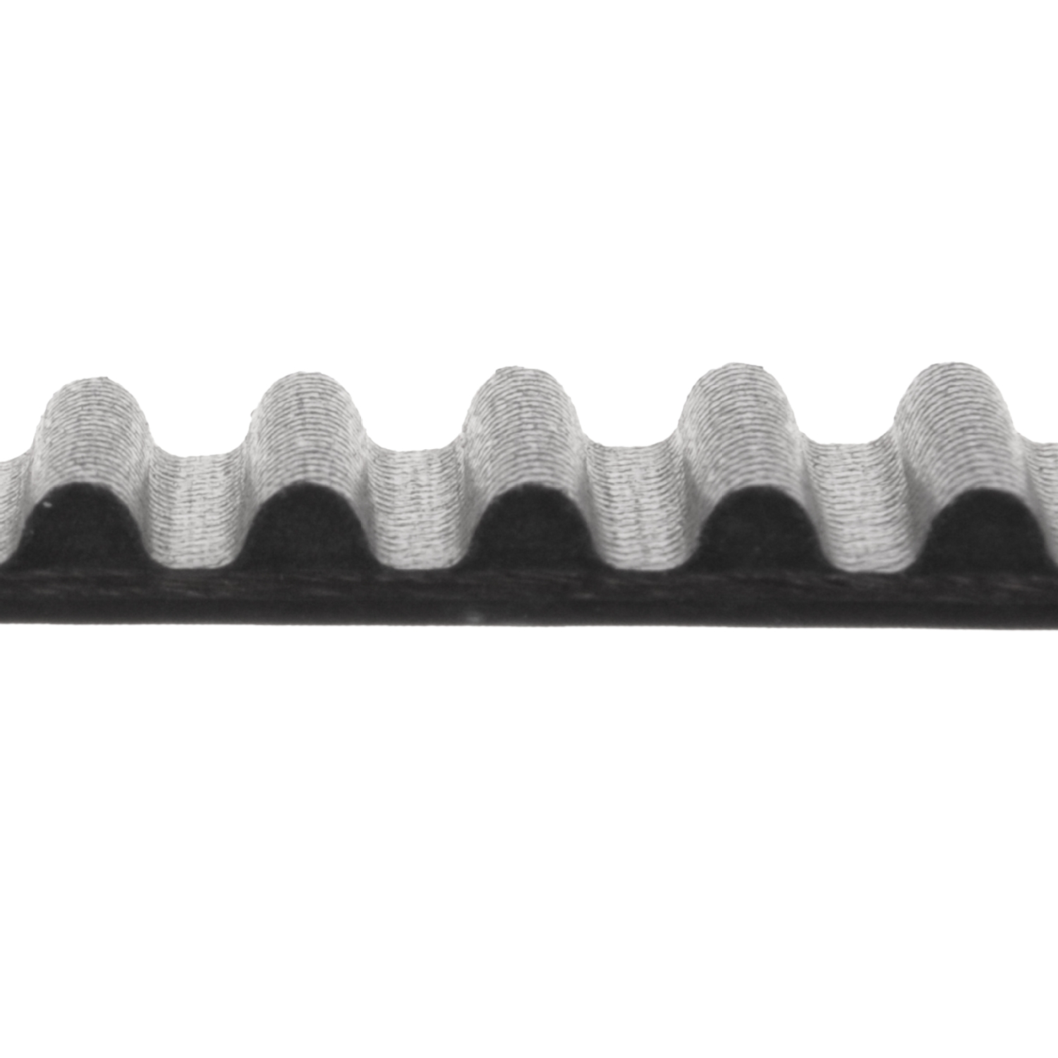 Courroie de distribution | BLUE PRINT