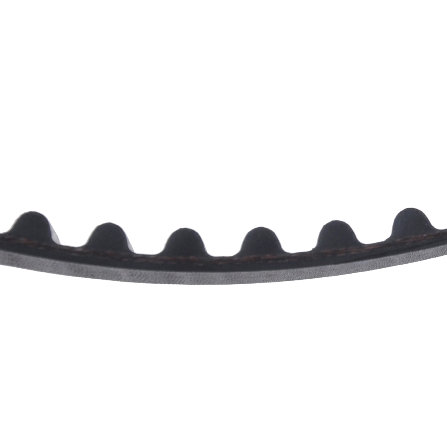 Courroie de distribution | BLUE PRINT