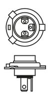 Image du produit pour Ampoule, projecteur principal