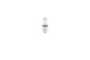 Image du produit pour Ampoule, éclairage intérieur
