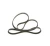 Image du produit pour Jeu de courroies trapézoïdales à nervures Elastic