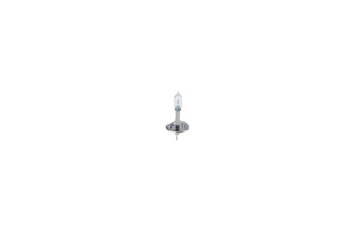Image du produit pour Ampoule Pure Light