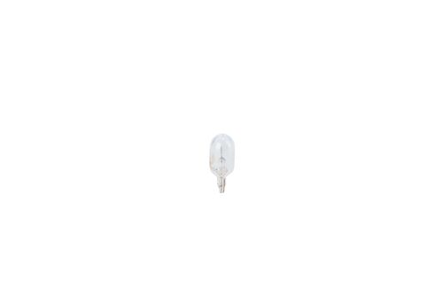Image du produit pour Ampoule Pure Light