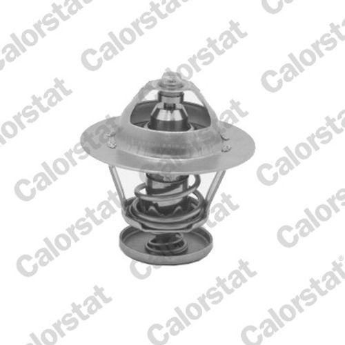 Image du produit pour Thermostat, liqiuide de refroidissement
