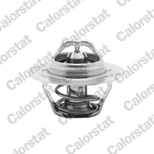 Image du produit pour Thermostat, liqiuide de refroidissement