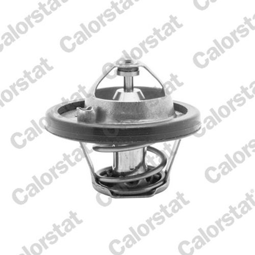 Image du produit pour Thermostat, liqiuide de refroidissement