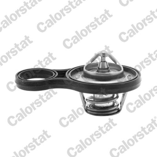 Image du produit pour Thermostat, liqiuide de refroidissement