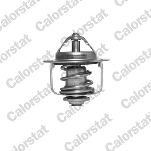 Image du produit pour Thermostat, liqiuide de refroidissement
