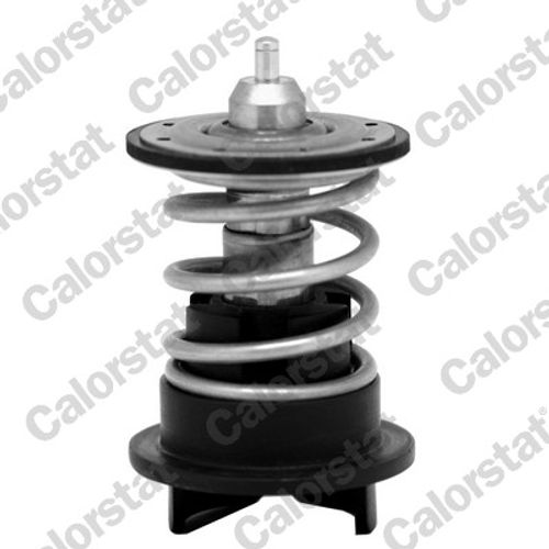 Image du produit pour Thermostat, liqiuide de refroidissement