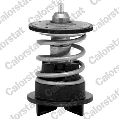 Image du produit pour Thermostat, liqiuide de refroidissement