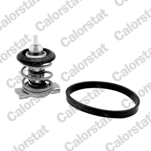 Image du produit pour Thermostat, liqiuide de refroidissement