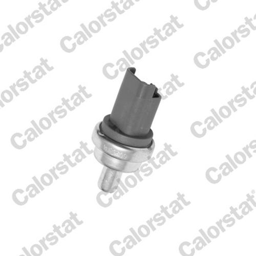 Image du produit pour Sonde de température, liquide de refroidissement