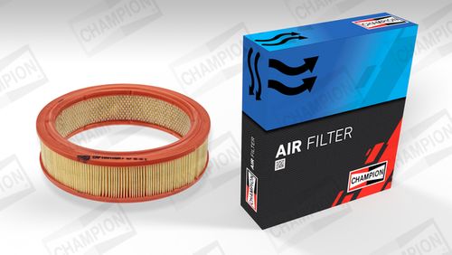 Image du produit pour Filtre à air