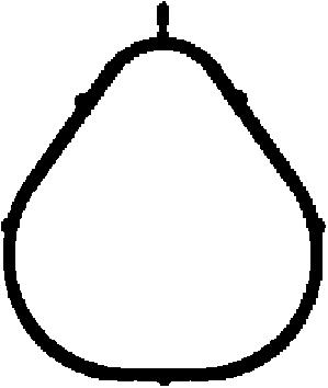 Joint d'étanchéité, collecteur d'admission | CORTECO