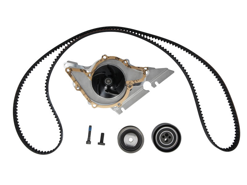 Courroie de distribution | CONTINENTAL CTAM