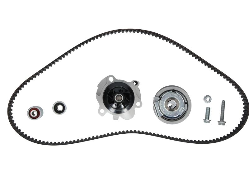 Courroie de distribution | CONTINENTAL CTAM