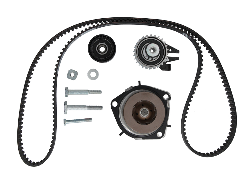 Courroie de distribution | CONTINENTAL CTAM