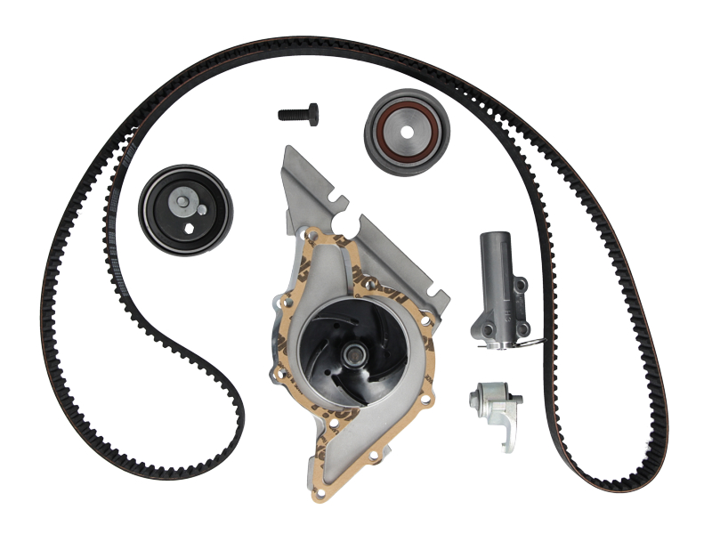 Courroie de distribution | CONTINENTAL CTAM