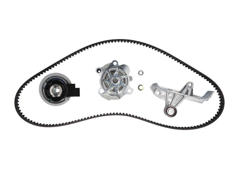 Courroie de distribution | CONTINENTAL CTAM