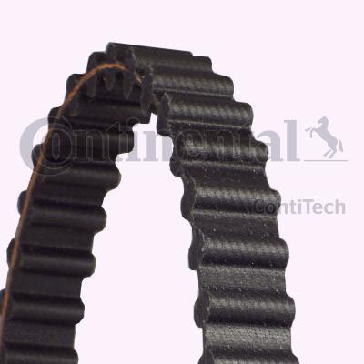 Courroie de distribution | CONTINENTAL CTAM