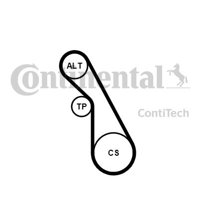 Jeu de courroies trapézoïdales à nervures | CONTINENTAL CTAM