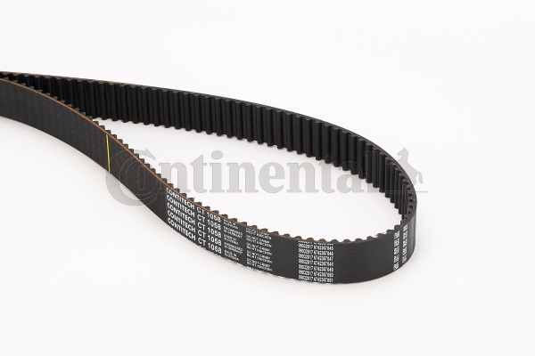 Courroie de distribution | CONTINENTAL CTAM