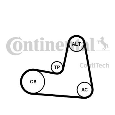 Jeu de courroies trapézoïdales à nervures | CONTINENTAL CTAM