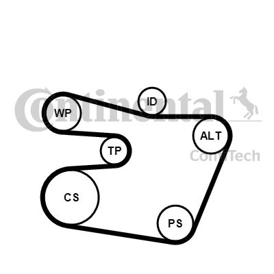 Jeu de courroies trapézoïdales à nervures | CONTINENTAL CTAM