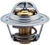 Image du produit pour Thermostat, liqiuide de refroidissement