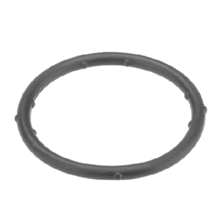 Joint, Bride de liquide de refroidissement | FEBI BILSTEIN