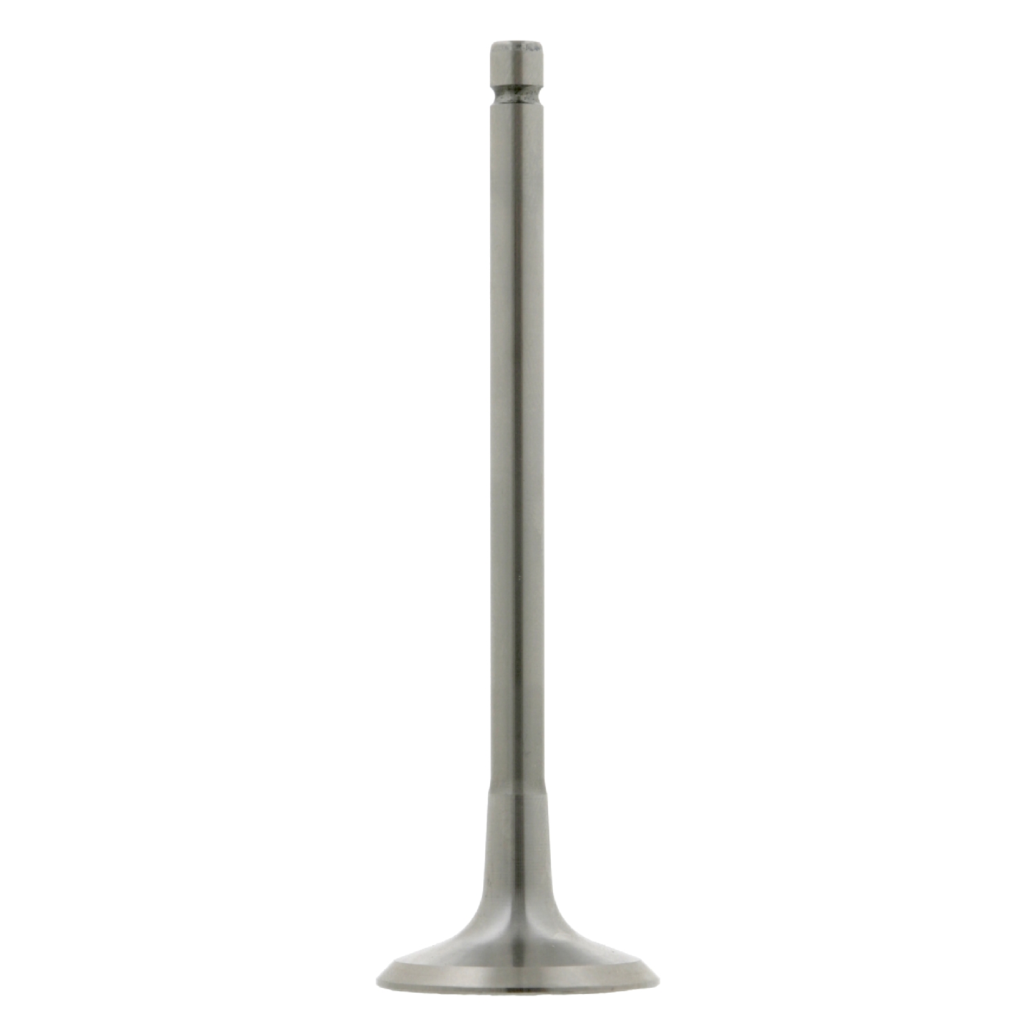 Soupape d'admission | FEBI BILSTEIN