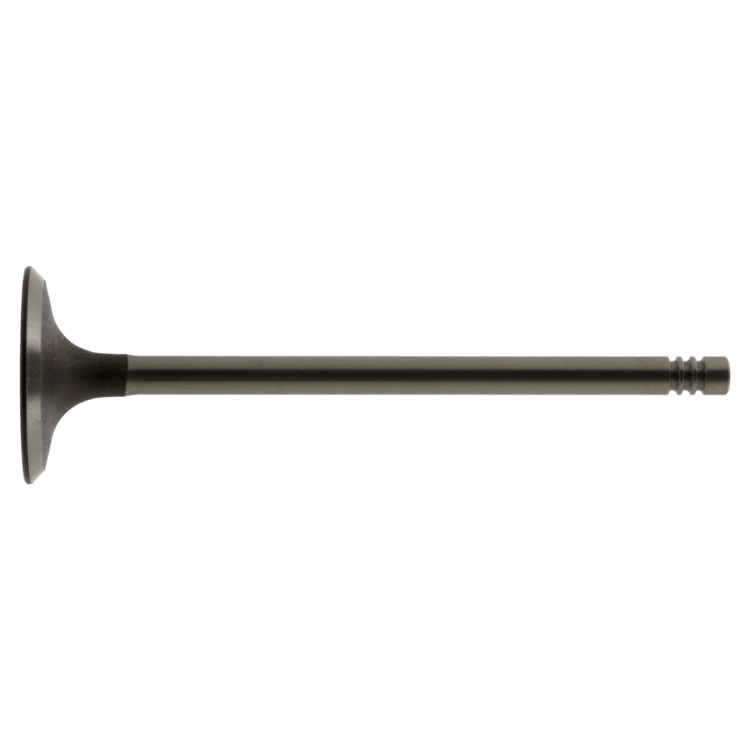 Soupape d'admission | FEBI BILSTEIN