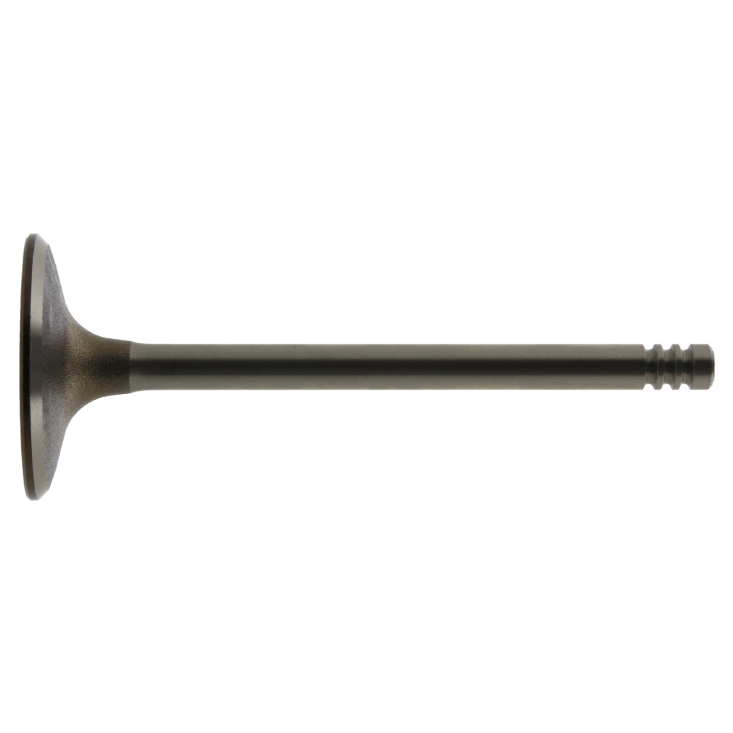 Soupape d'admission | FEBI BILSTEIN