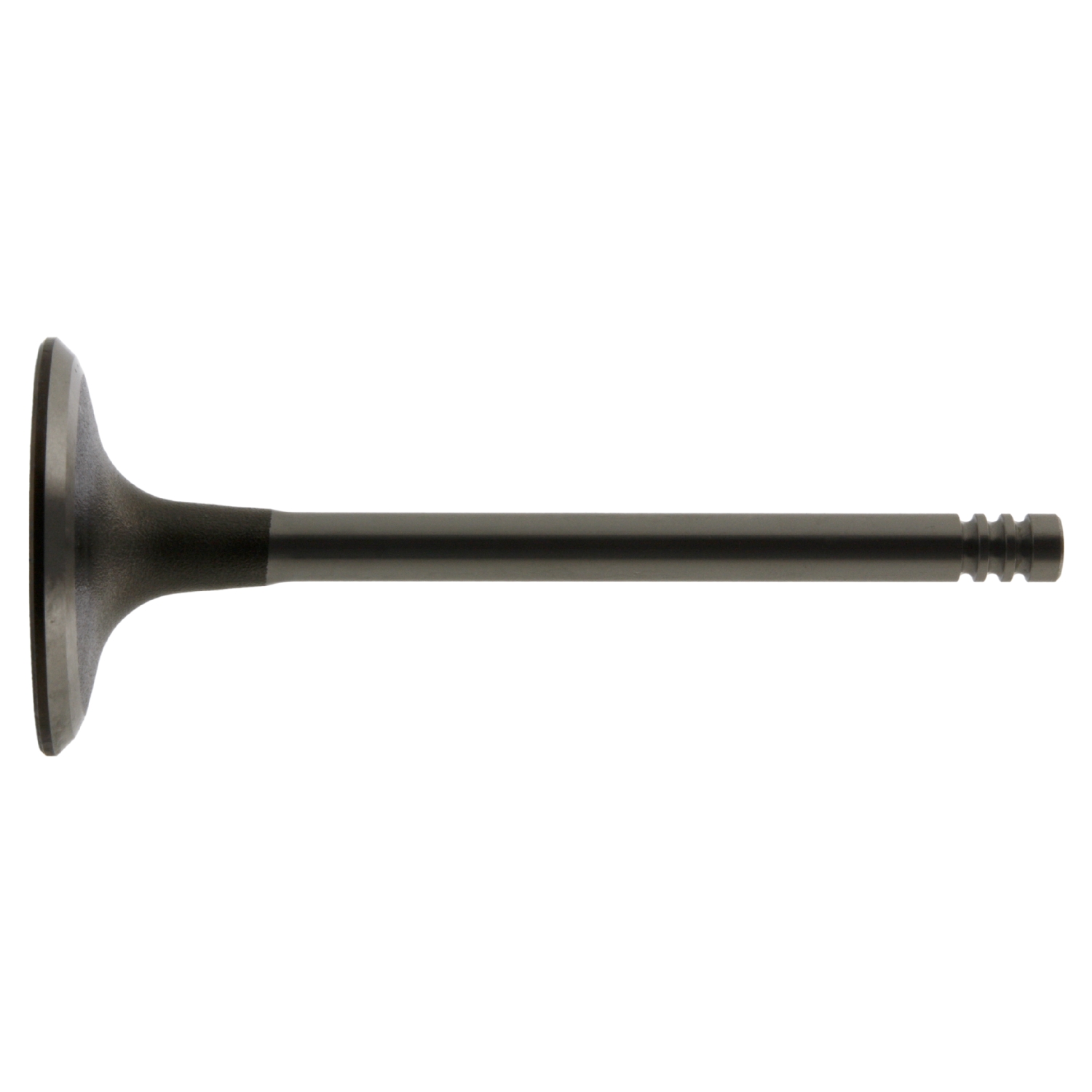 Soupape d'admission | FEBI BILSTEIN