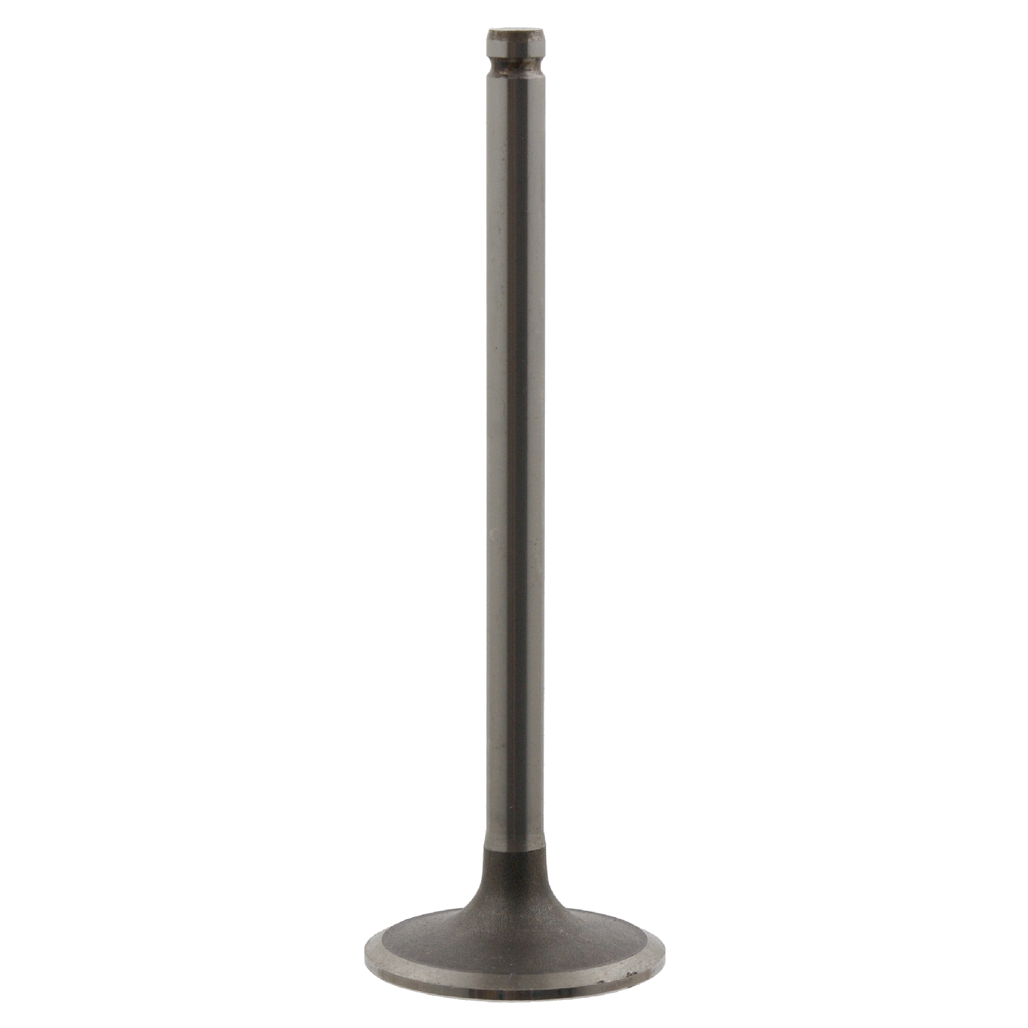 Soupape d'admission | FEBI BILSTEIN