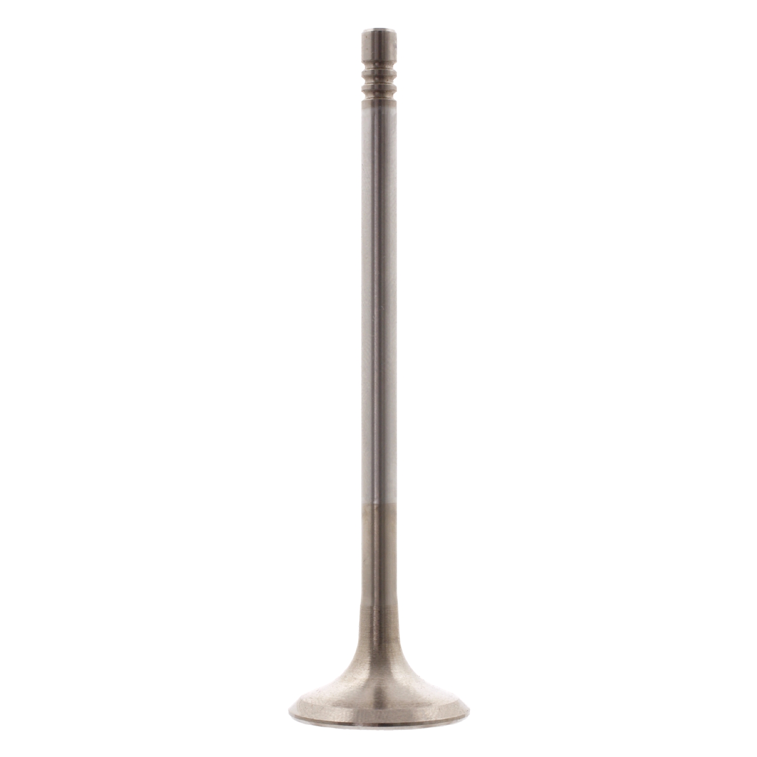 Soupape d'émission | FEBI BILSTEIN