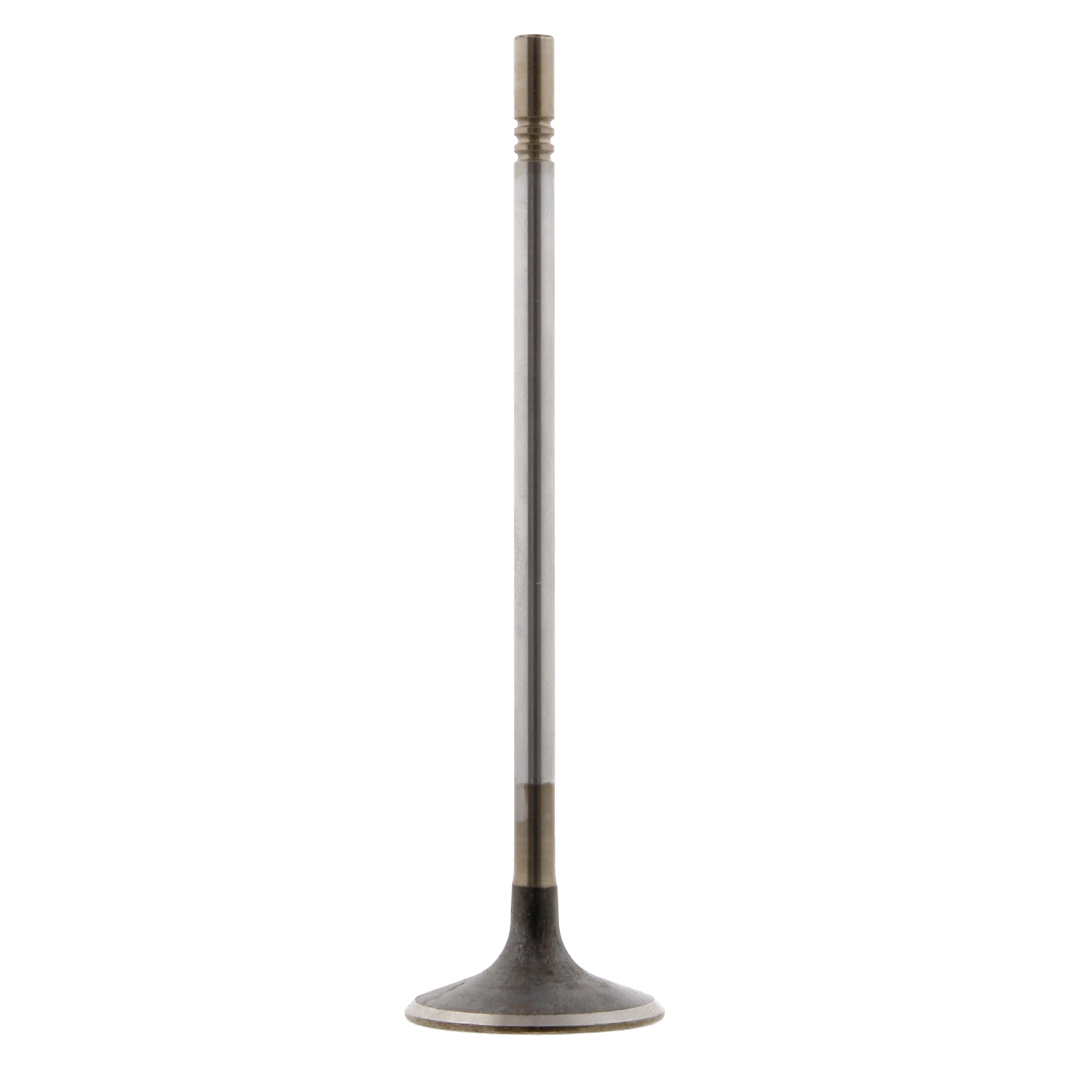 Soupape d'admission | FEBI BILSTEIN