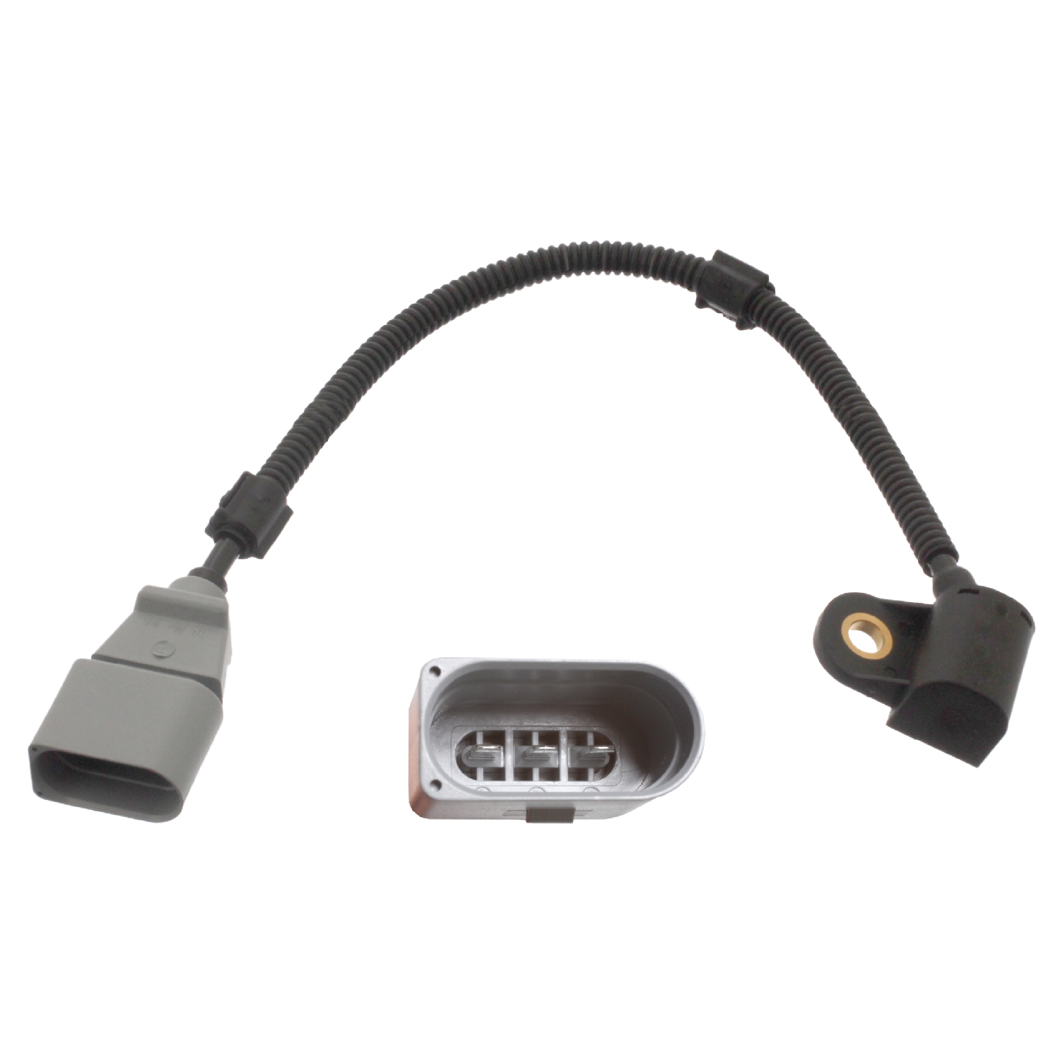 Capteur, position d'arbre à cames | FEBI BILSTEIN