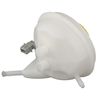 Image du produit pour Vase d'expansion, liquide de frein febi Plus