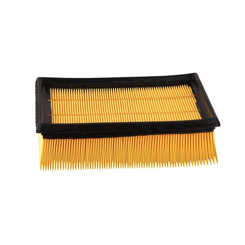 Image du produit pour Filtre à air
