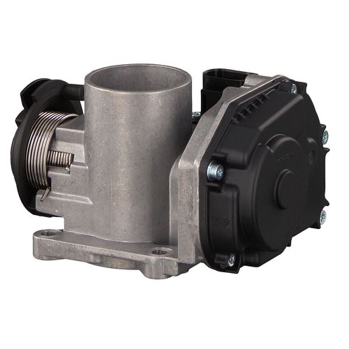 Image du produit pour Corps papillon