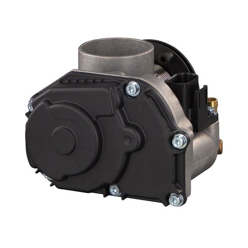 Image du produit pour Corps papillon