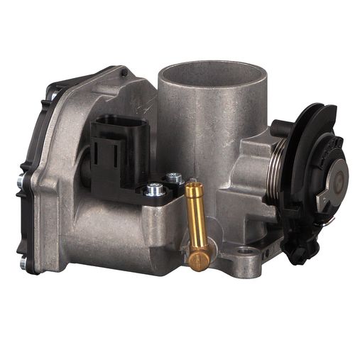 Image du produit pour Corps papillon