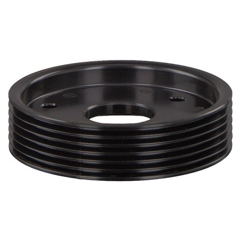Image du produit pour Poulie, pompe de direction assistée febi Plus