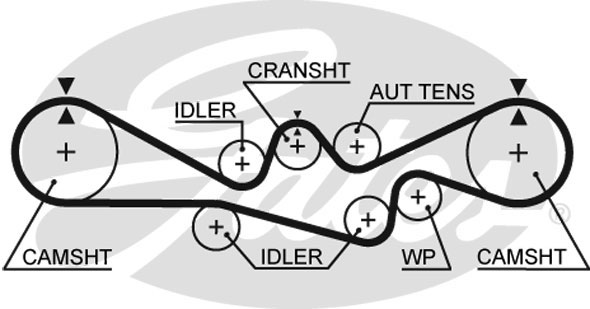 Courroie crantée PowerGrip® | GATES