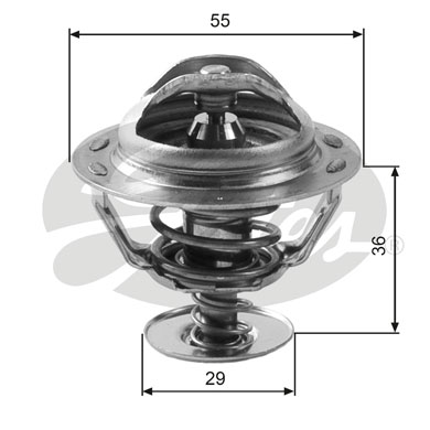 Thermostat, liqiuide de refroidissement | GATES