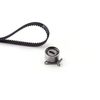 Image du produit pour Kit de distribution PowerGrip®